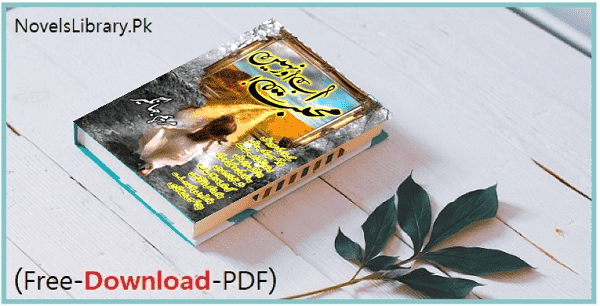 Mohabbat Ab Aur Nahin Novel By Maryam Jahangir