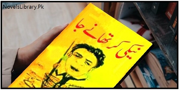 Naiki Kr Thany Ga Novel By Ibraheem Jalees