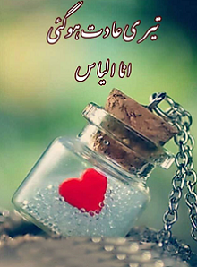 Teri Adat Hogai
