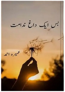 Bas Ik Dagh e Nidamat