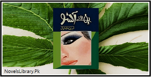 Bin Roye Ansoo